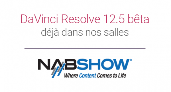 Davinci resolve 12.5 en formation