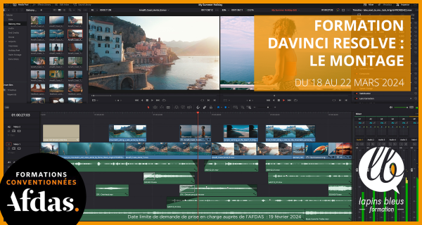 Formation davinci resolve montage