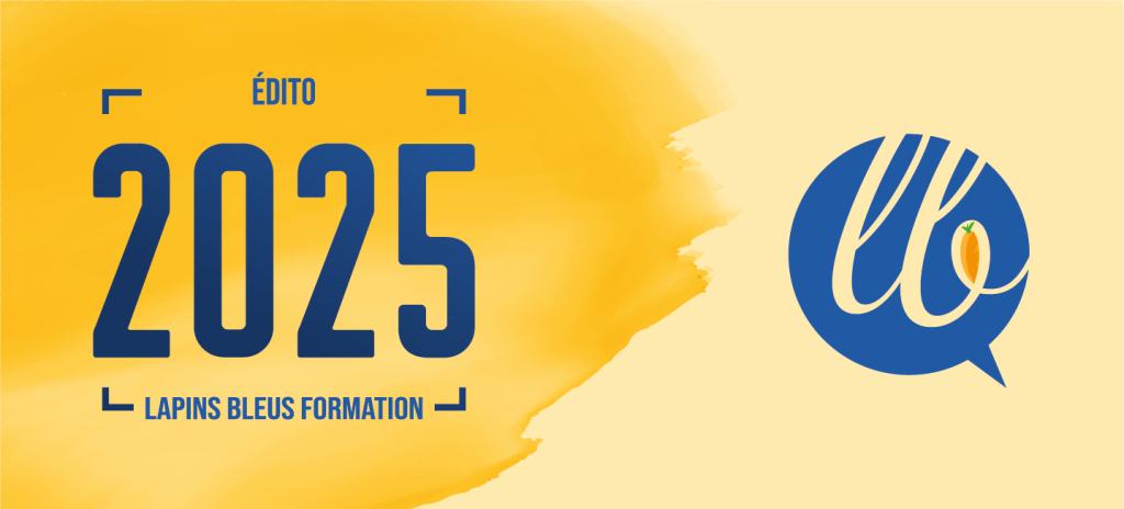 edito 2025 formations audiovisuelles afdas lapins bleus formation
